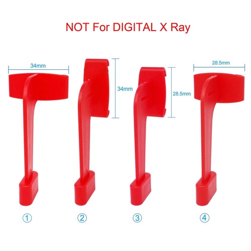 Dental xcp style - dental,